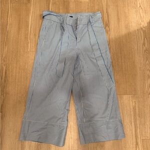 Banana Republic Women's Blue and White Striped Chinos